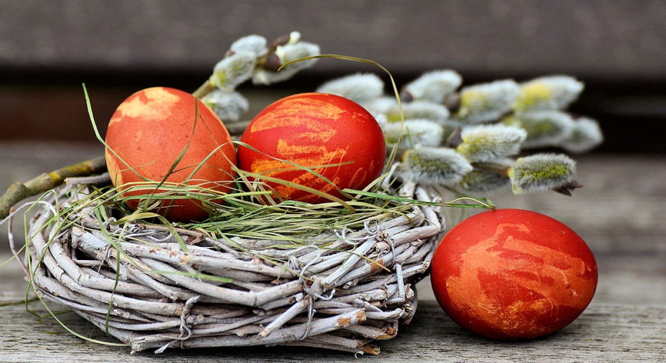 Przedświąteczne propozycje kulturalne